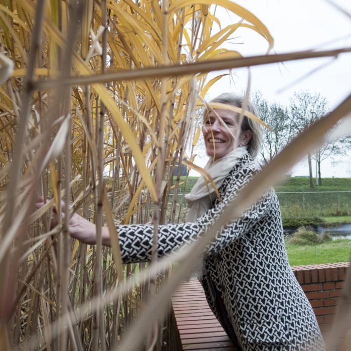 Petra Koenders at the elephant grass on the Green Chemistry Campus Brabant Brand Box