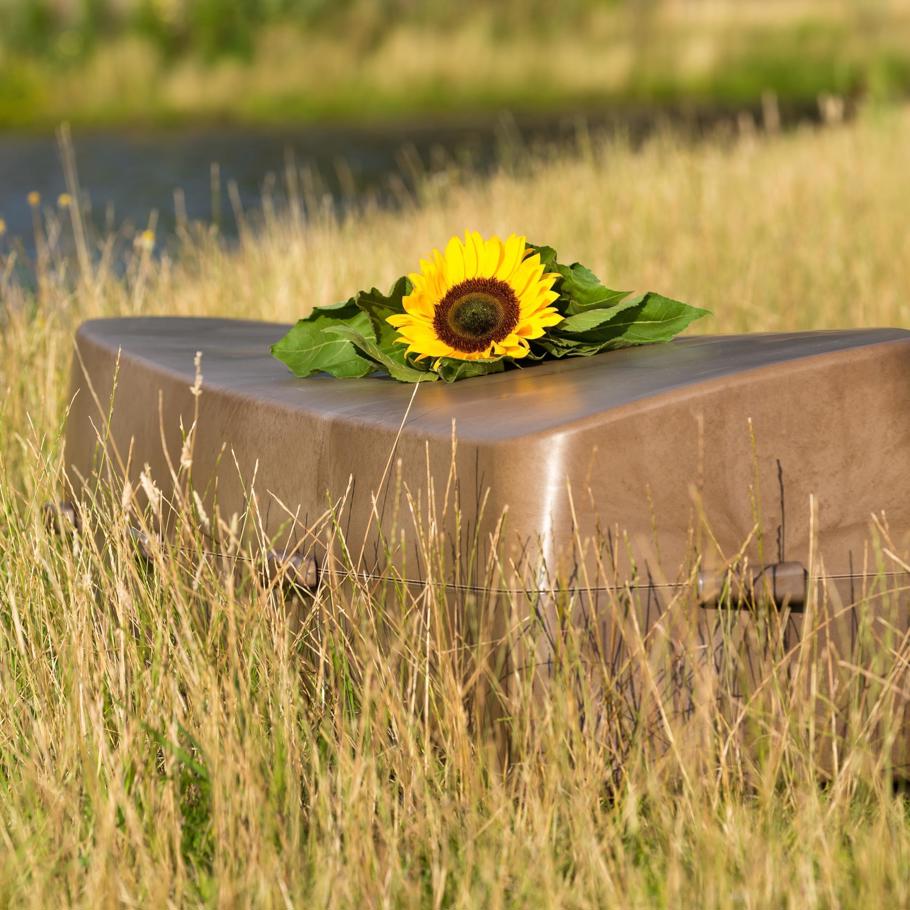Onora in Brabant develops organic coffin - Brabant Brand Box