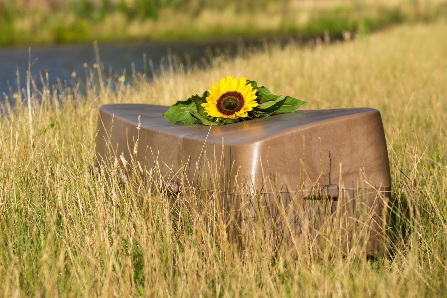 Onora in Brabant develops organic coffin - Brabant Brand Box