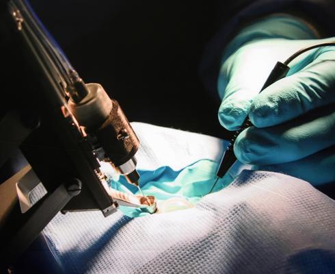 Preceyes develops surgical robots | Brabant Brand Box
