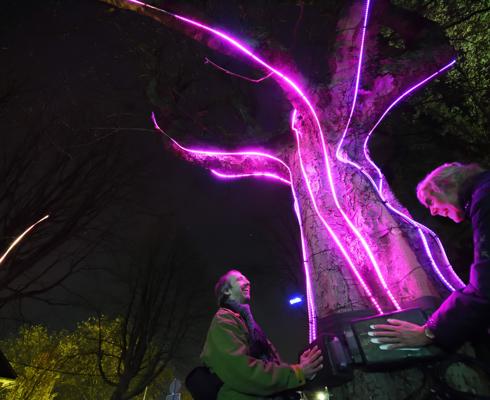 light-festival-Glow-transforms Eindhoven_Brabant-Brand-Box.jpg