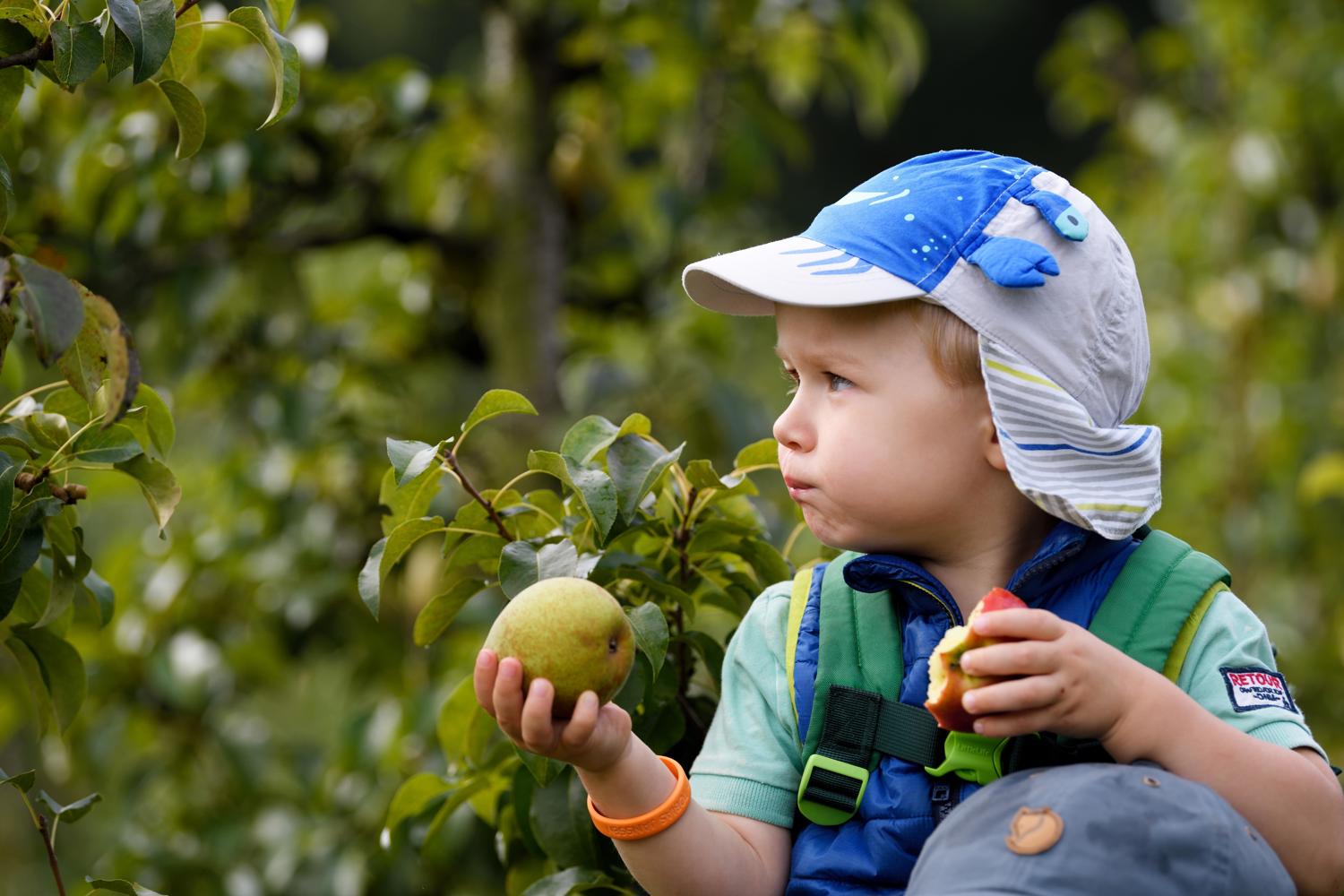 Een kind eet een peer tijdens de Philips Fruittuin plukdagen - Brabant Brand Box - Rijp 
